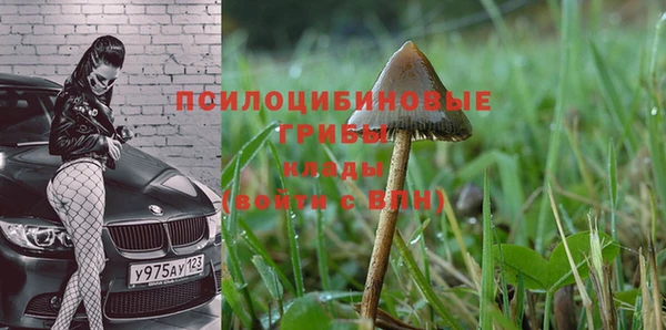шишки Алзамай