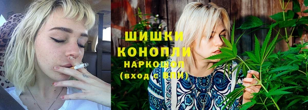 шишки Алзамай