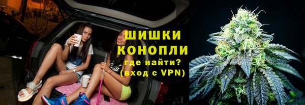 шишки Алзамай