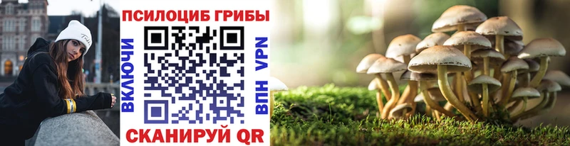 Псилоцибиновые грибы мухоморы  Купить  Тбилисская 